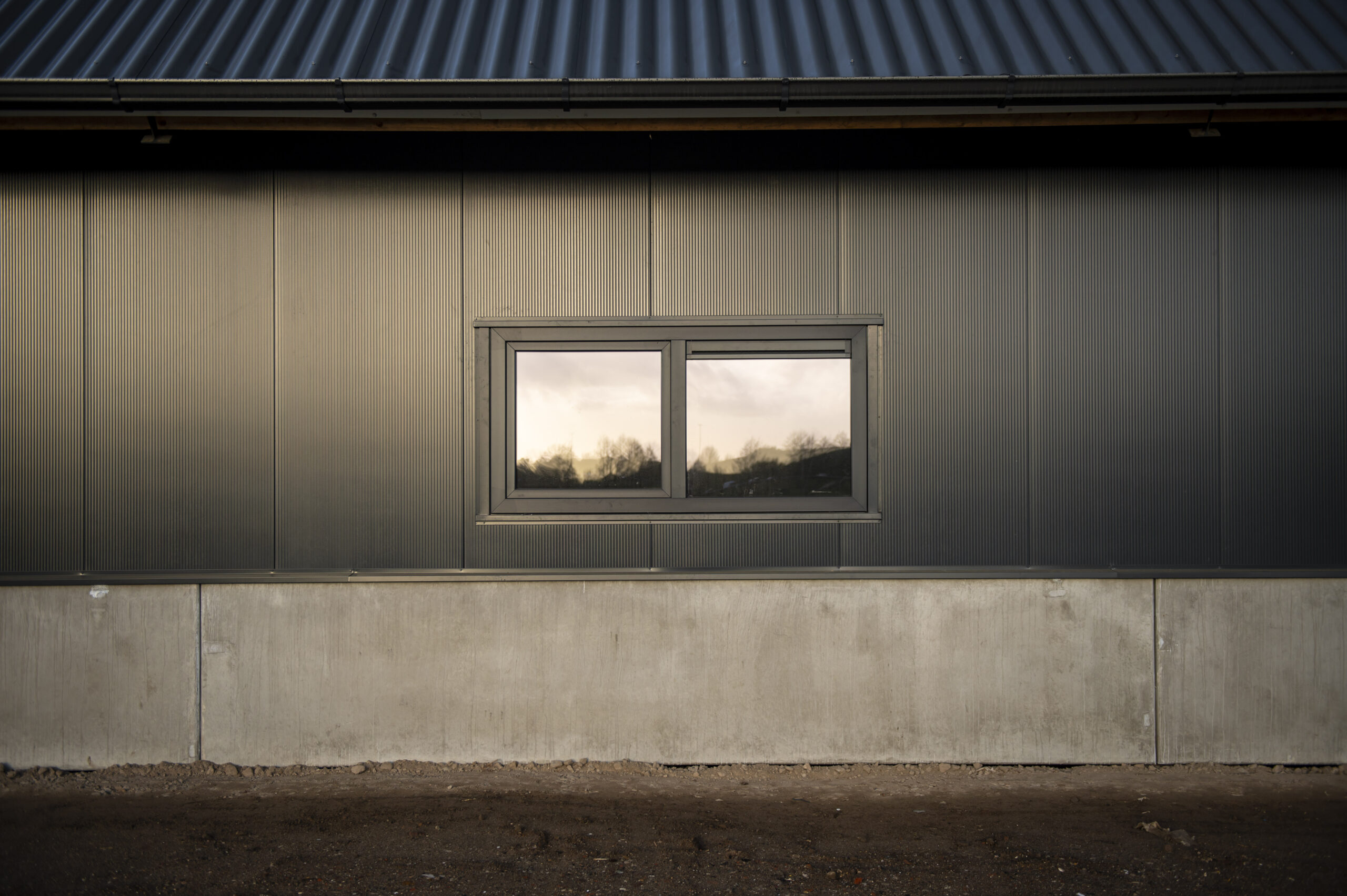 Project Ede _5